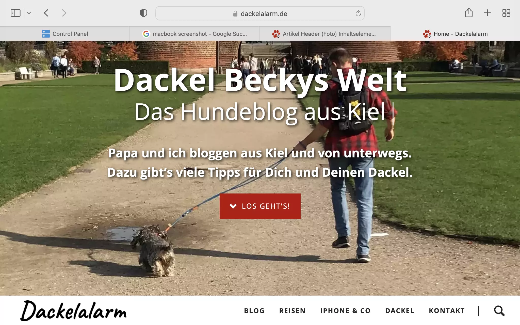 Auf dem Screenshot der Website dackelalarm.de laufen Dackel Becky und Edgar Selting auf das Holstentor in Lübeck zu. Der Screenshot steht symbolisch für den Aufbau der „Marke Dackel Becky“ durch Content Marketing.